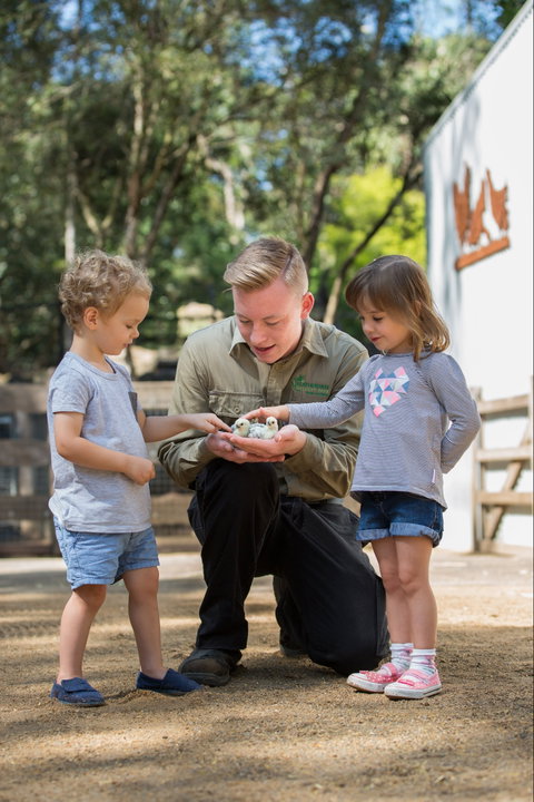 Featherdale Wildlife Park - Palm Beach Accommodation 2