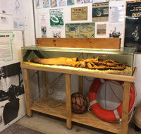 George The Giant Squid Display Wallaroo - Palm Beach Accommodation
