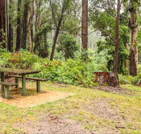 Goodenia Rainforest picnic area - Palm Beach Accommodation