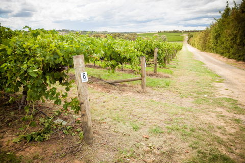 Grove Estate Wines - Palm Beach Accommodation 0