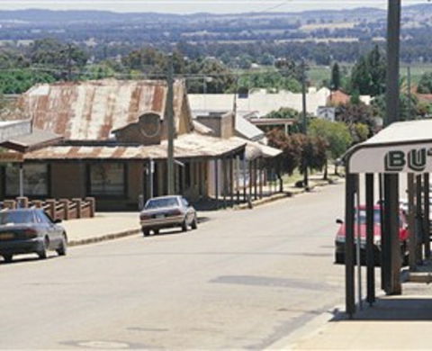 Gulgong Symbol Trail - Palm Beach Accommodation 0