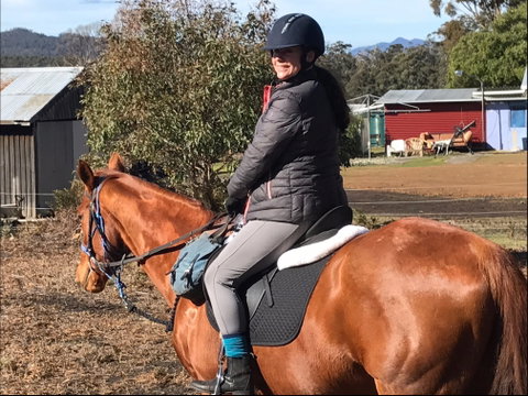 Horse Riding Tasmania - Palm Beach Accommodation 1