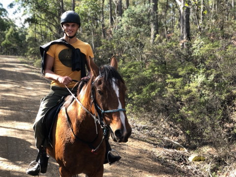 Horse Riding Tasmania - Palm Beach Accommodation 2