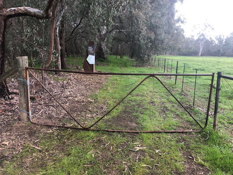 Horseshoe Lagoon Reserve - Palm Beach Accommodation 1