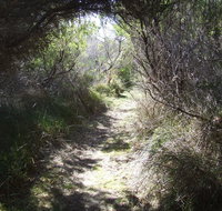 Jack And Hilda McArthur Walk - Palm Beach Accommodation