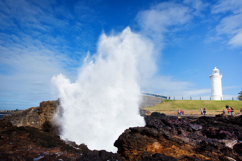 Kiama Blowhole - Palm Beach Accommodation 0