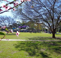 Koshigaya Park - Palm Beach Accommodation