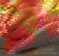 Lambs Valley - Palm Beach Accommodation