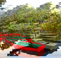 Lane Cove National Park - Palm Beach Accommodation