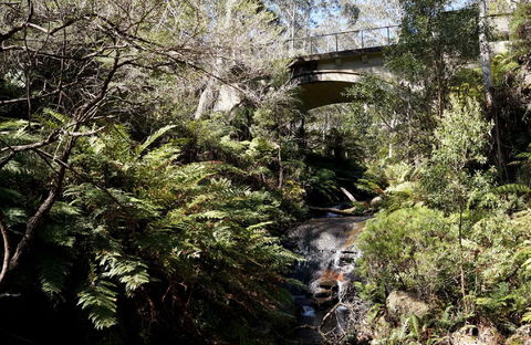 Leura Cascades - Palm Beach Accommodation 2