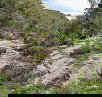 Lynchs Loop Trail - Palm Beach Accommodation