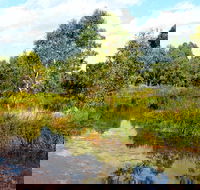 Mansfield Mullum Wetlands - Palm Beach Accommodation
