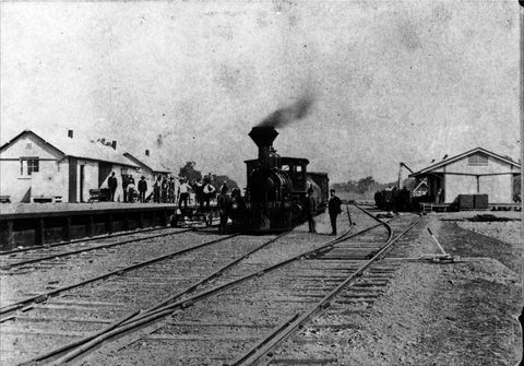 Mansfield Historical Society - Palm Beach Accommodation 1