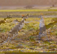 Mary River Area - Palm Beach Accommodation