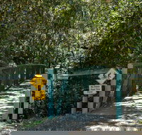 Mermaid Lookout Track - Palm Beach Accommodation