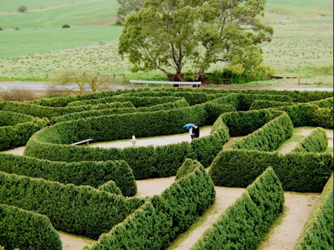Mintaro Maze - Palm Beach Accommodation 1