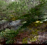 Mongarlowe River picnic area - Palm Beach Accommodation