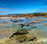 Moonee Beach trail - Palm Beach Accommodation