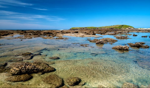 Moonee Beach Trail - Palm Beach Accommodation 0