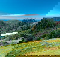 Mount Glorious - Palm Beach Accommodation