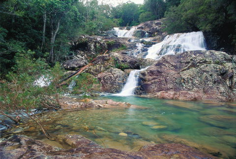 Mount Spec, Paluma Range National Park - Palm Beach Accommodation 1