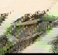 Pebbly Beach to Snake Bay walking track - Palm Beach Accommodation