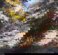 Pheasants Nest - Palm Beach Accommodation