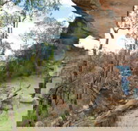 Pilliga National Park - Palm Beach Accommodation
