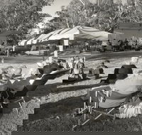 Pioneer Park - Palm Beach Accommodation