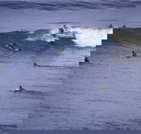 Point Addis Marine National Park - Palm Beach Accommodation