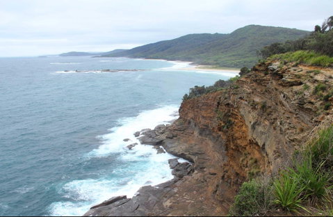 Pretty Beach To Snapper Point Walking Track - Palm Beach Accommodation 0