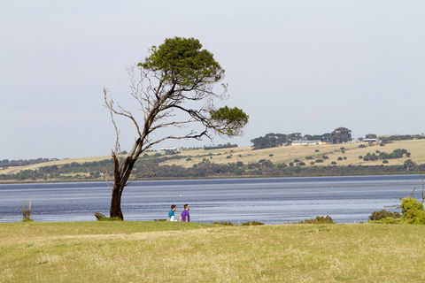 Queenscliff Golf Club - Palm Beach Accommodation 2