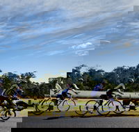 Richmond Lowlands - Palm Beach Accommodation