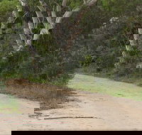 Riverview walking track