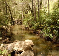 Sandy Creek Track - Palm Beach Accommodation