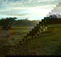 Scenic NSW Horse Riding Centre - Palm Beach Accommodation
