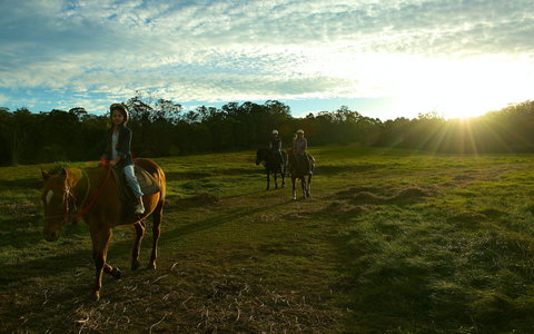 Scenic NSW Horse Riding Centre - Palm Beach Accommodation 0