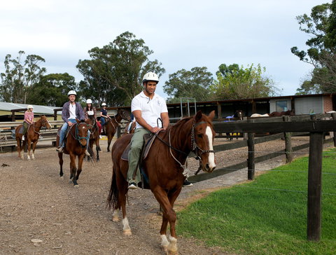 Scenic NSW Horse Riding Centre - Palm Beach Accommodation 1