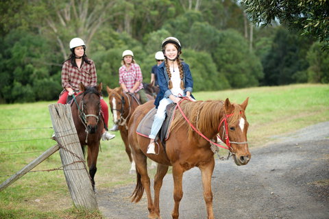 Scenic NSW Horse Riding Centre - Palm Beach Accommodation 2