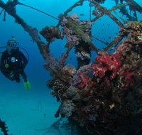 Severance Shipwreck Dive Site - Palm Beach Accommodation