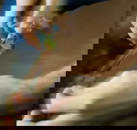 Simon Martin Whips  Leathercraft - Palm Beach Accommodation