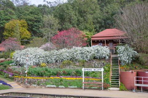 Spring Bluff Railway Station - Palm Beach Accommodation 1