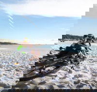 St Helens Mountain Bike Trails - Palm Beach Accommodation