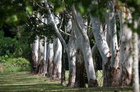 Teven Valley Golf Course - Palm Beach Accommodation 1