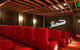 The Pivotonian Cinema - thumb 0