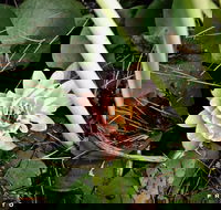 The Beach Bible Garden