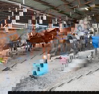The Equine Club - Palm Beach Accommodation