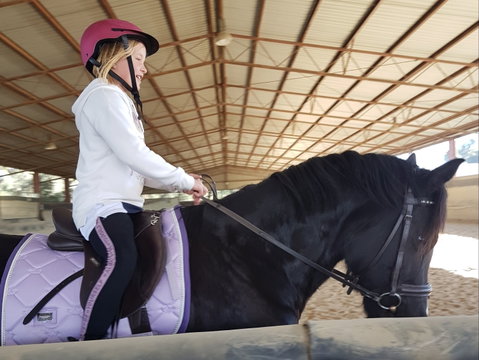 The Equine Club - Palm Beach Accommodation 1