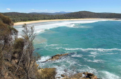 Wajurda Point Walking Track - Palm Beach Accommodation 0