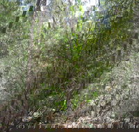 Wangaratta Common Nature Conservation Reserve - Palm Beach Accommodation